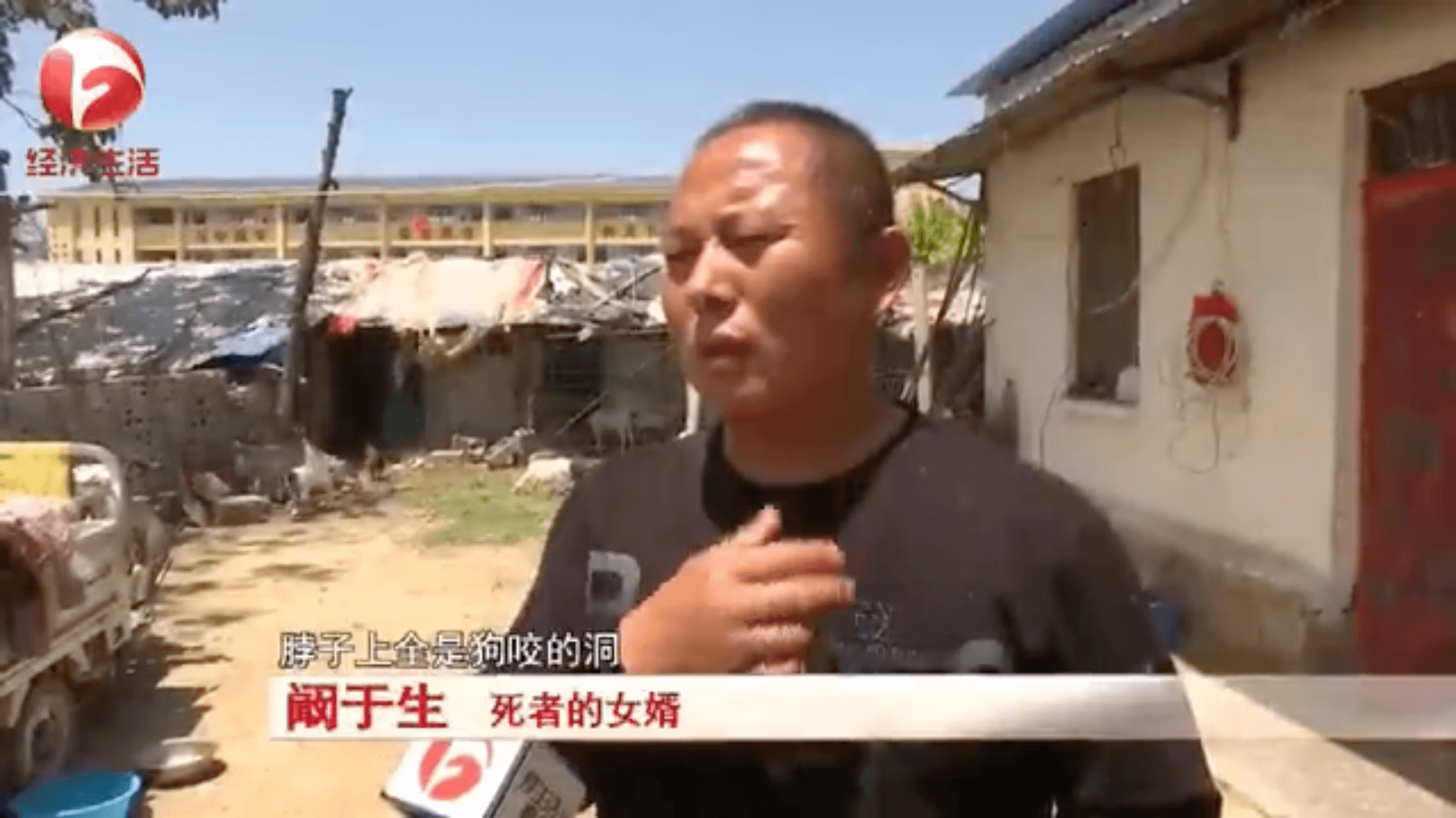 死者的女婿表示岳母身上多處被咬傷。（翻攝自微博）