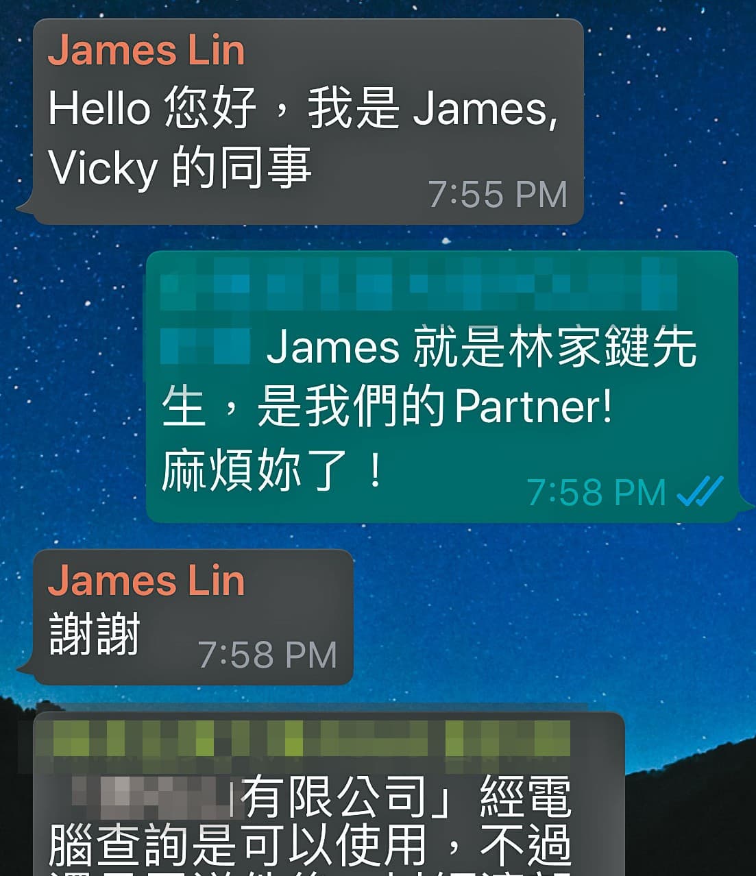 Vicky首次股東會議後，就將林家鍵介紹給相關人士認識，還稱他是partner（夥伴）。（讀者提供）