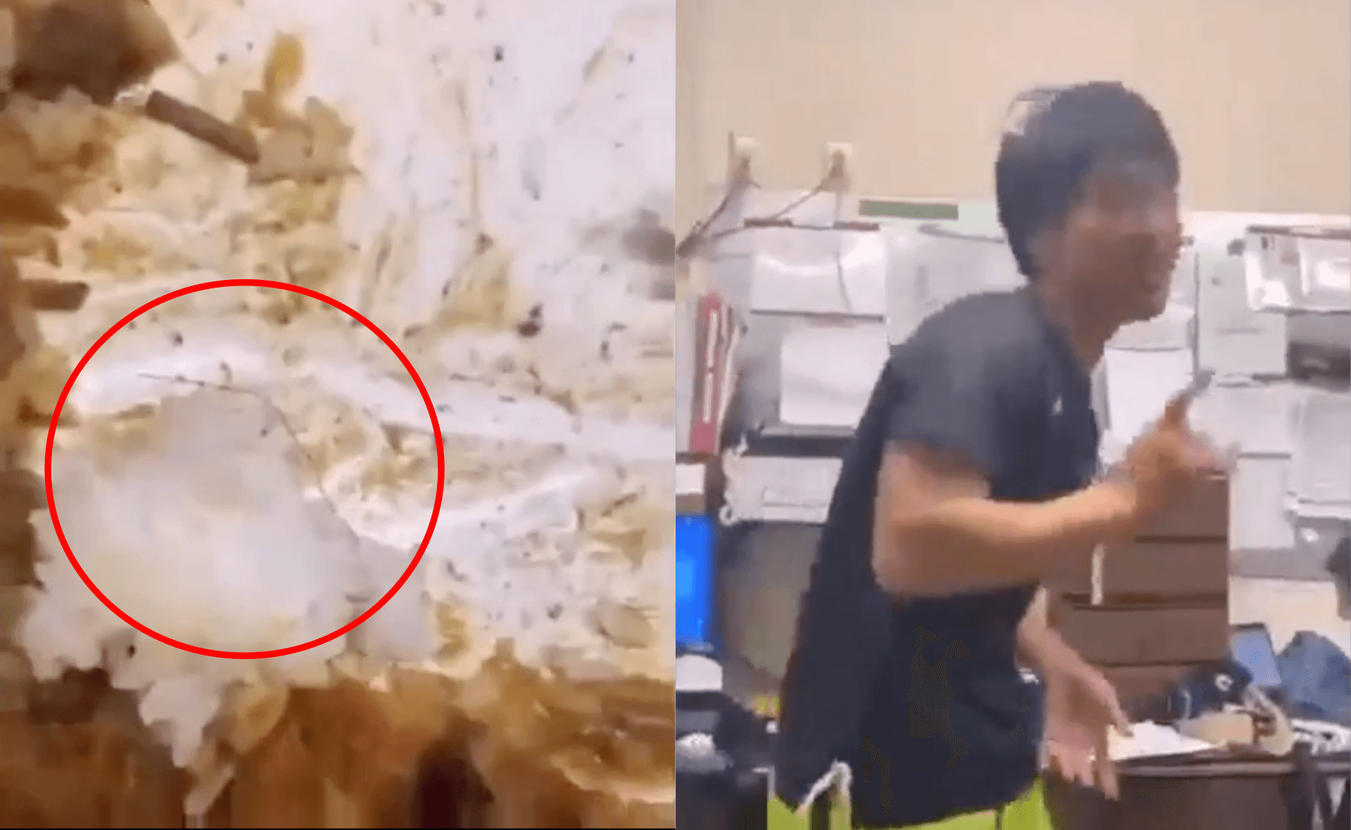 二宮孝文將體毛丟入盤中後，在一旁開心手舞足蹈。（翻攝自推特）