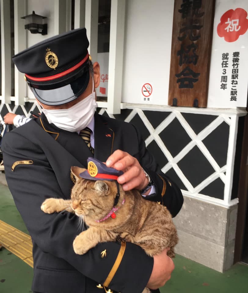 雖然Nya的死因是車禍，但仍有網友認為站務人員應善盡飼養責任。（翻攝自臉書專頁「豊後竹田駅ねこ駅長のニャー」）