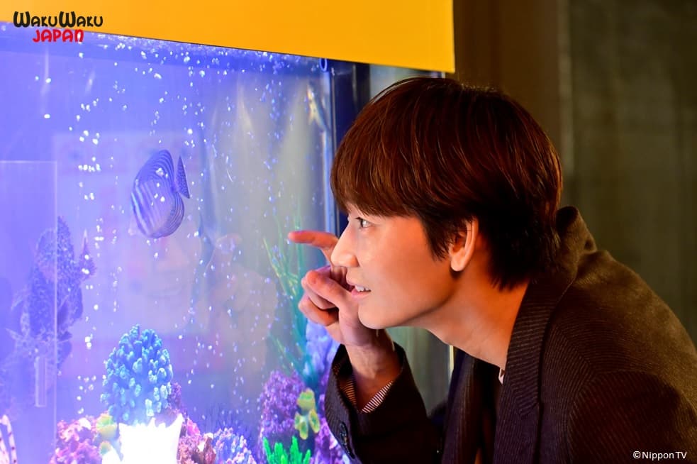 綾野剛與石原聰美主演日劇《深深地戀愛》，浪漫劇情讓觀眾看得心跳加速。（WAKUWAKU JAPAN 提供）