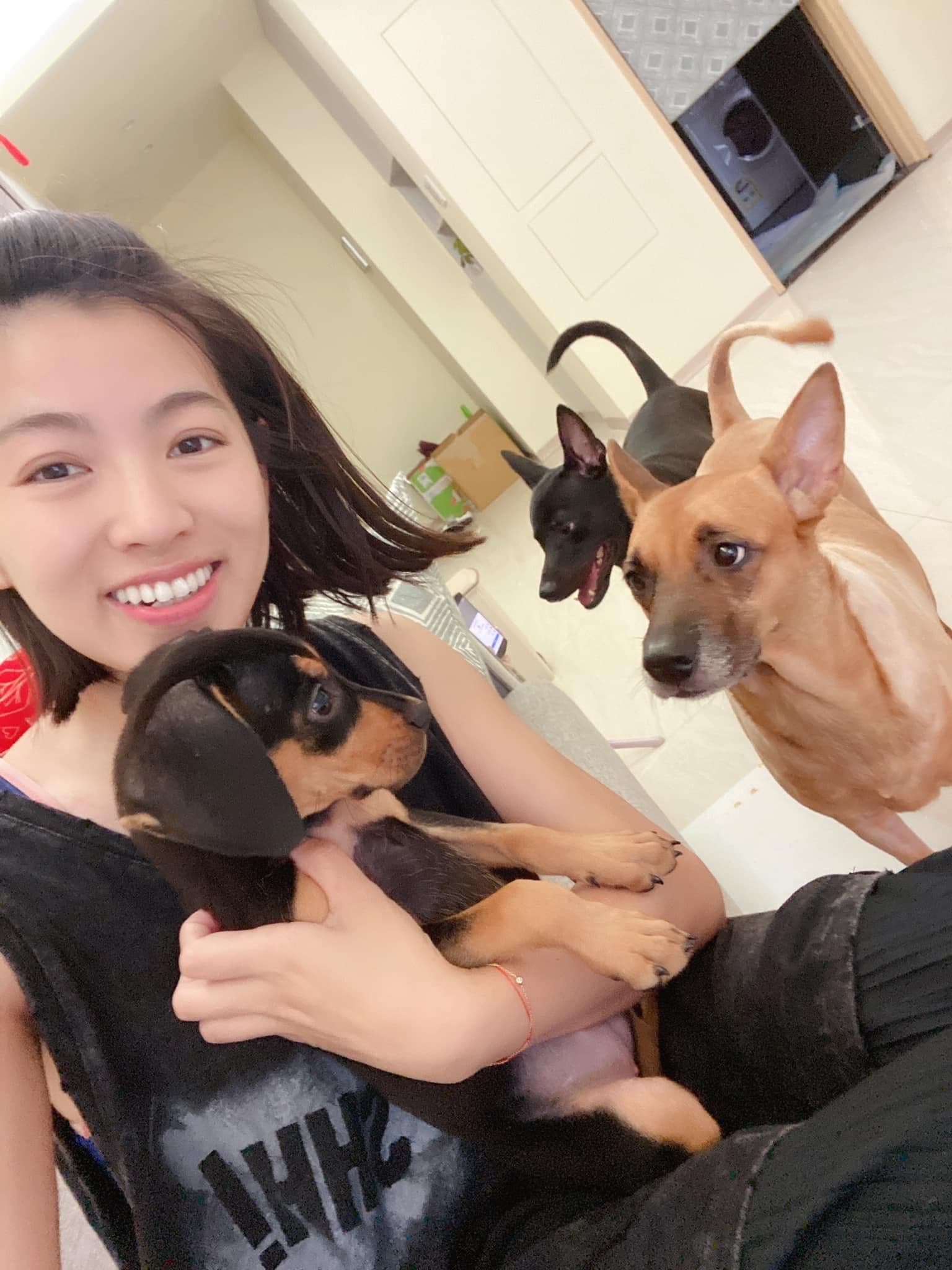 米可白致力流浪犬安置，愛浪浪不遺餘力。（翻攝自米可白臉書）