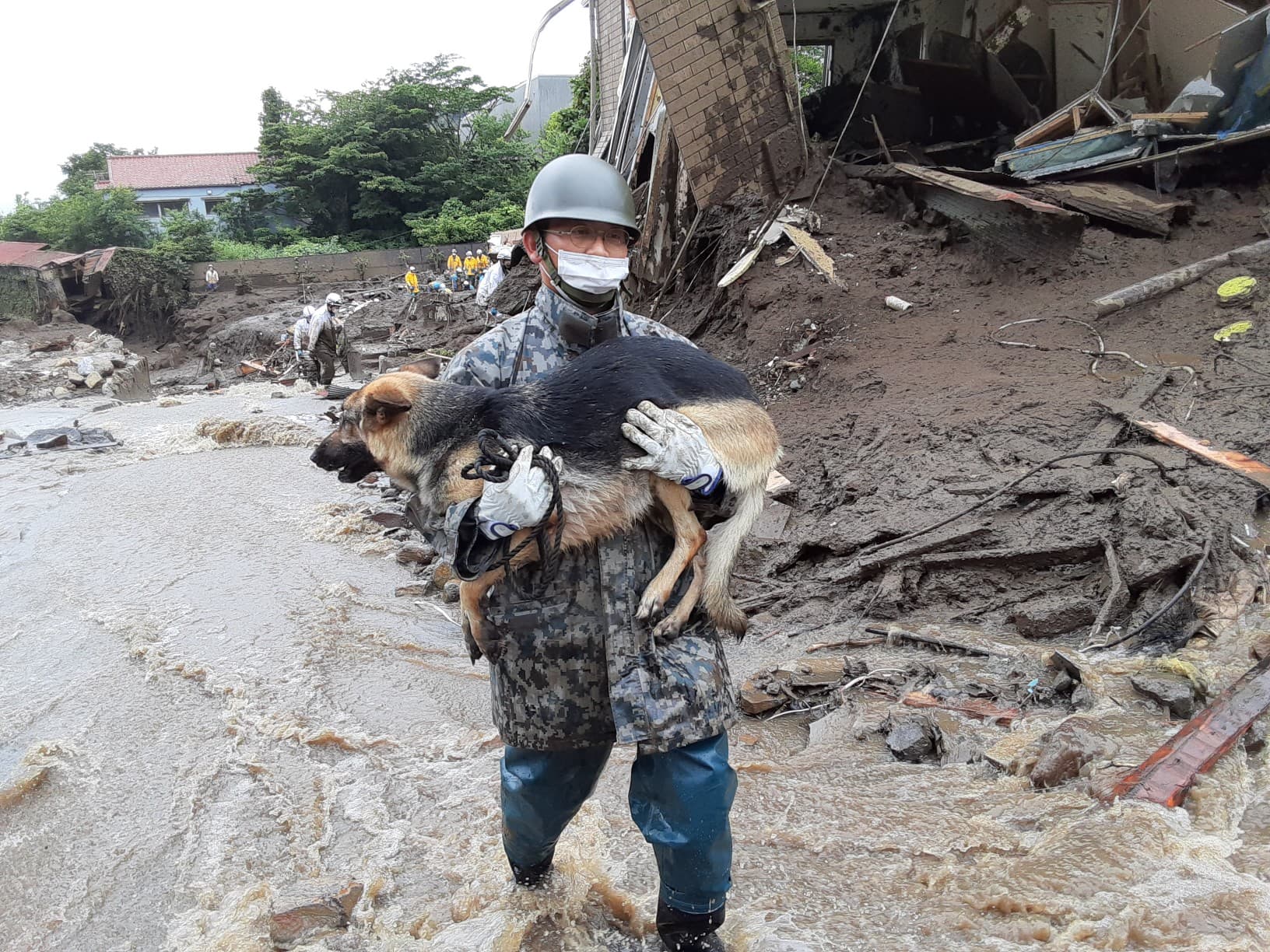 領犬員將搜救犬一把抱起，避免狗狗的腳受到太多傷害。（翻攝自@JASDFhamamatsu推特）