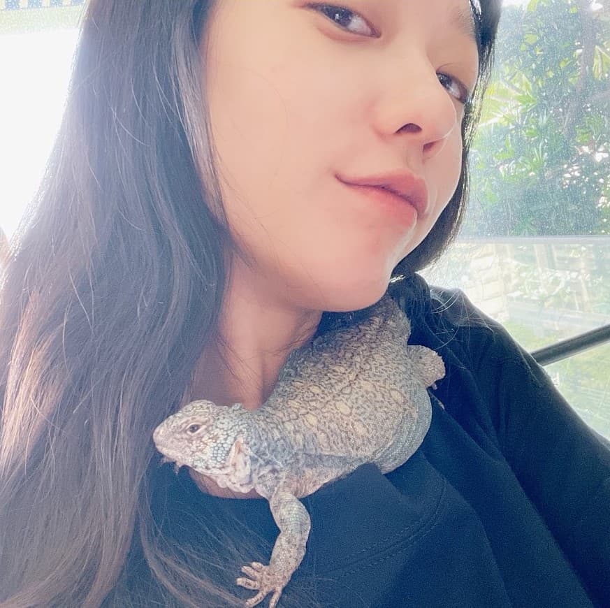 孟耿如分享寶貝寵物蜥蜴，俏皮拿牠來當圍巾。（翻攝孟耿如臉書）