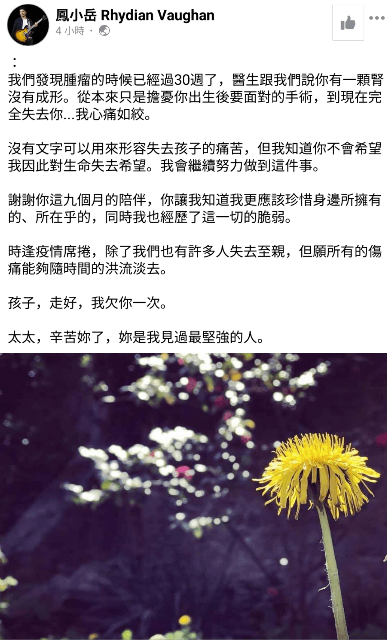 鳳小岳在臉書發文，對失去孩子感到「心痛如絞」。（翻攝自鳳小岳臉書）