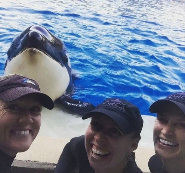 猝逝的殺人鯨「艾瑪亞」今年6歲，深得工作人員喜愛。（翻攝SeaWorld San Diego臉書）
