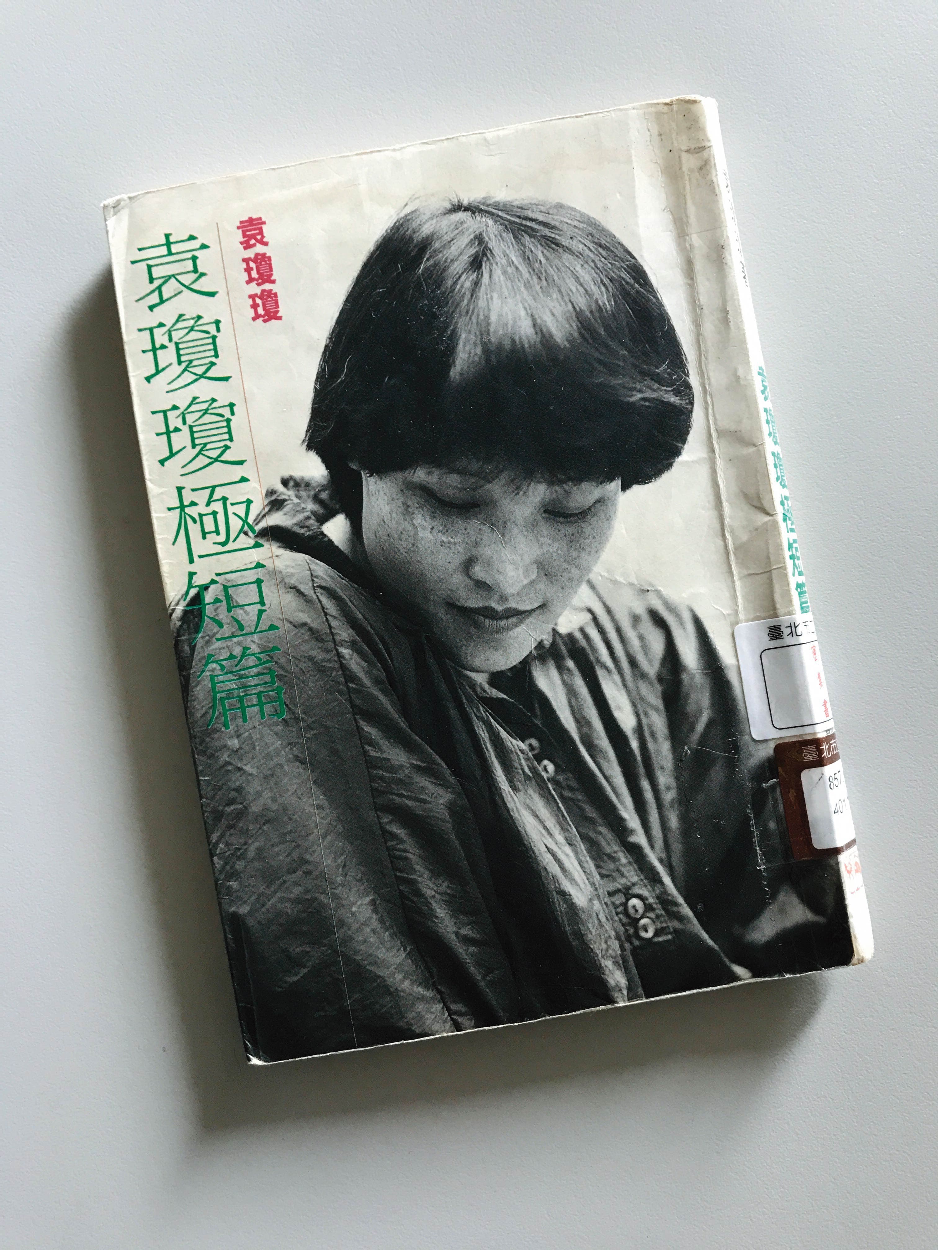 年輕時期的袁瓊瓊寫作主題多以高度女性意識書寫都會愛情。