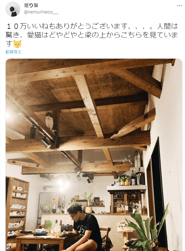 原PO在貼文超過10萬推讚時就感到驚訝，並表示人類被嚇到了，但貓咪還趴在天花板的梁柱上淡定俯視。（圖片翻攝推特@nemurineco___）