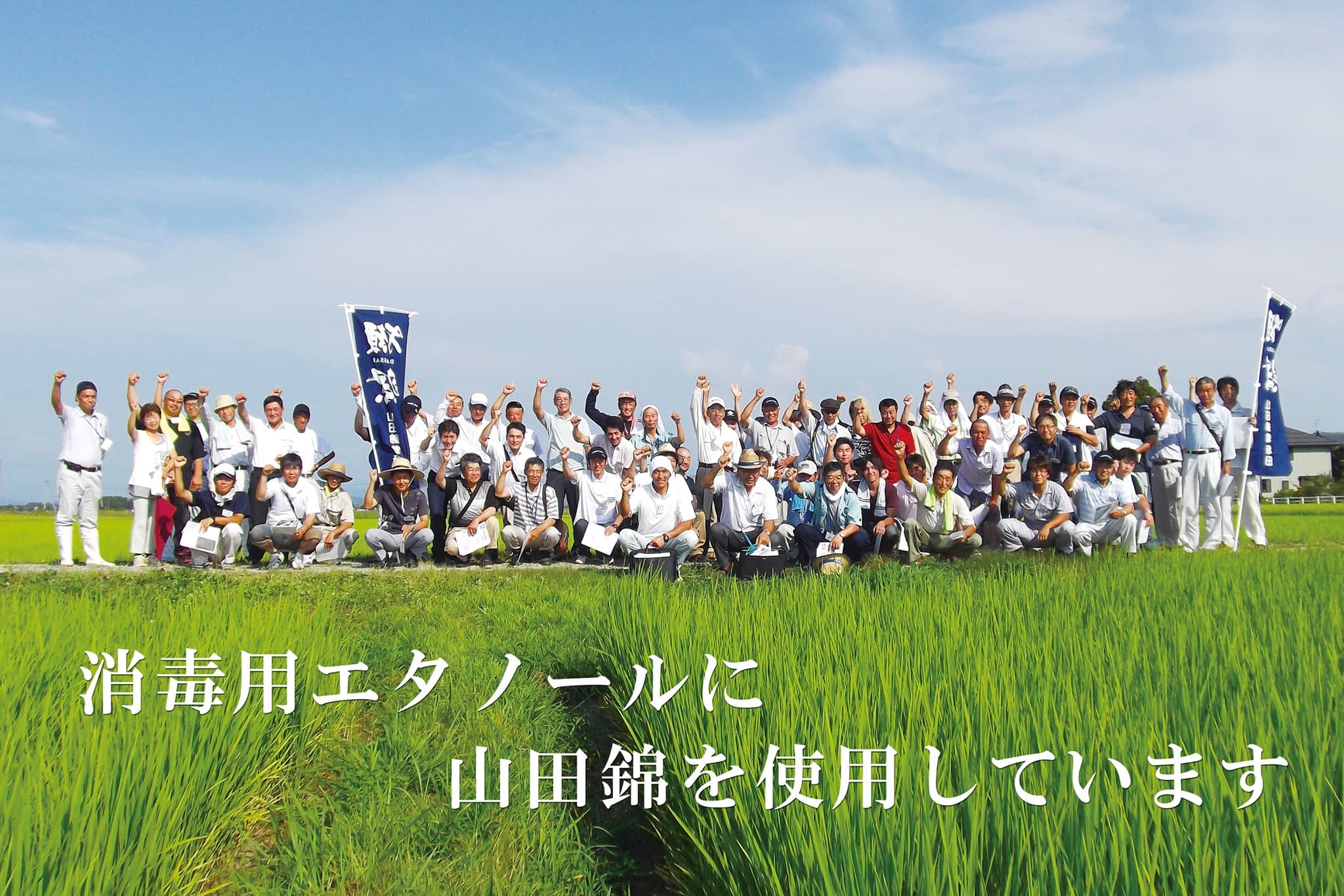 因為疫情影響，食用米的市場價下跌約三成，獺祭的製造廠《旭酒造》，依舊以去年同樣的價格與數量向契作農民採購酒米山田錦，期望一起共度難關。（翻攝獺祭FB粉絲團DassaiSake）