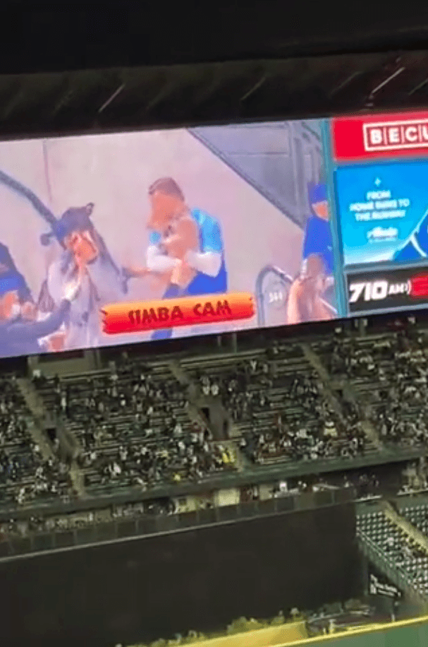 美國西雅圖水手隊日前在一場比賽中玩起了「辛巴鏡頭」（Simba Cam）。（翻攝自@GoodNewsMoveme3 twitter）