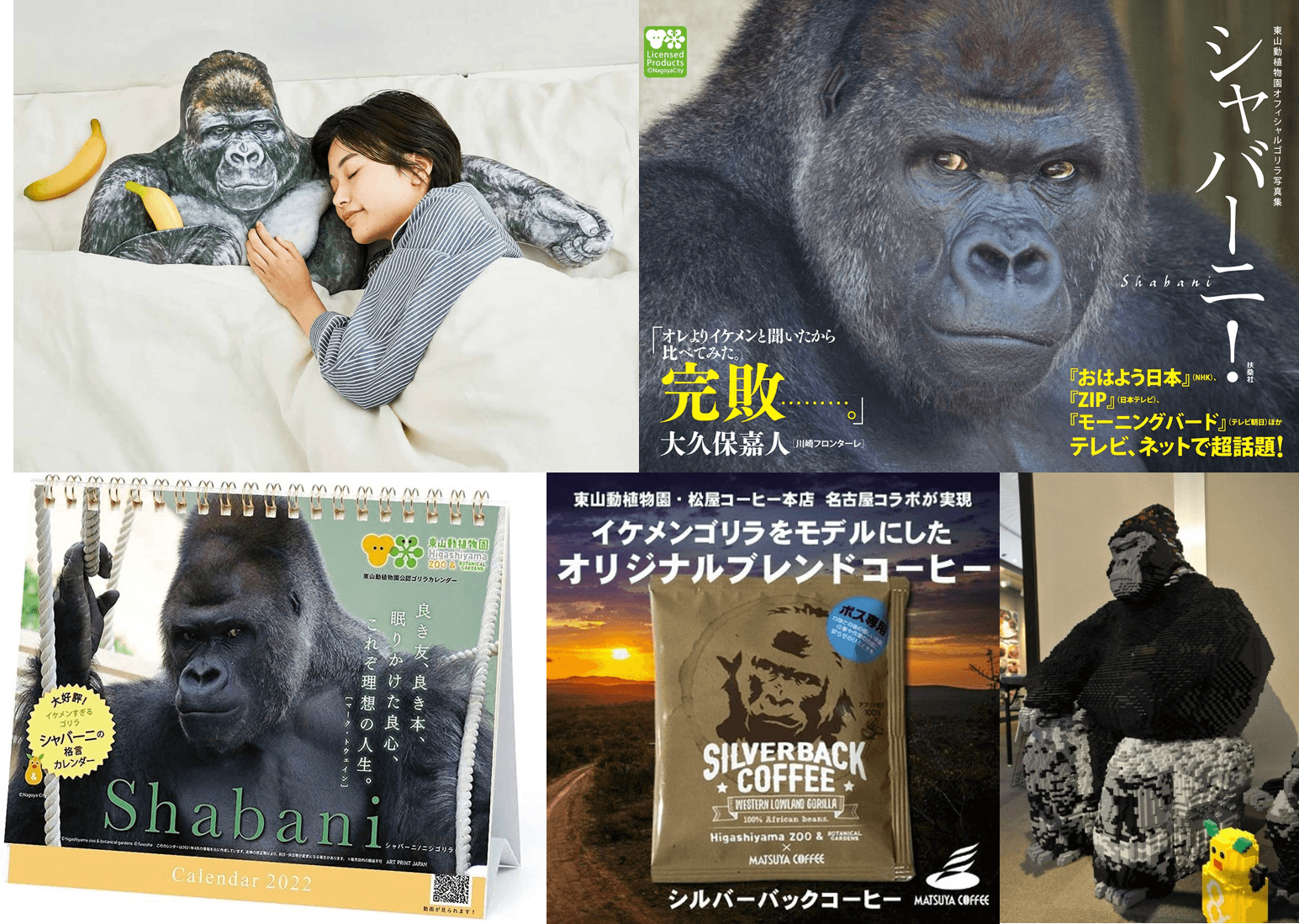 夏巴尼因帥氣的外型與姿態爆紅，出過不少周邊商品，除了寫真集外，還有男友力十足的抱枕。也因高人氣，名古屋車站曾架設牠的大型樂高模型。（圖片翻攝amazon.co.jp／《東山動植物園》官網）