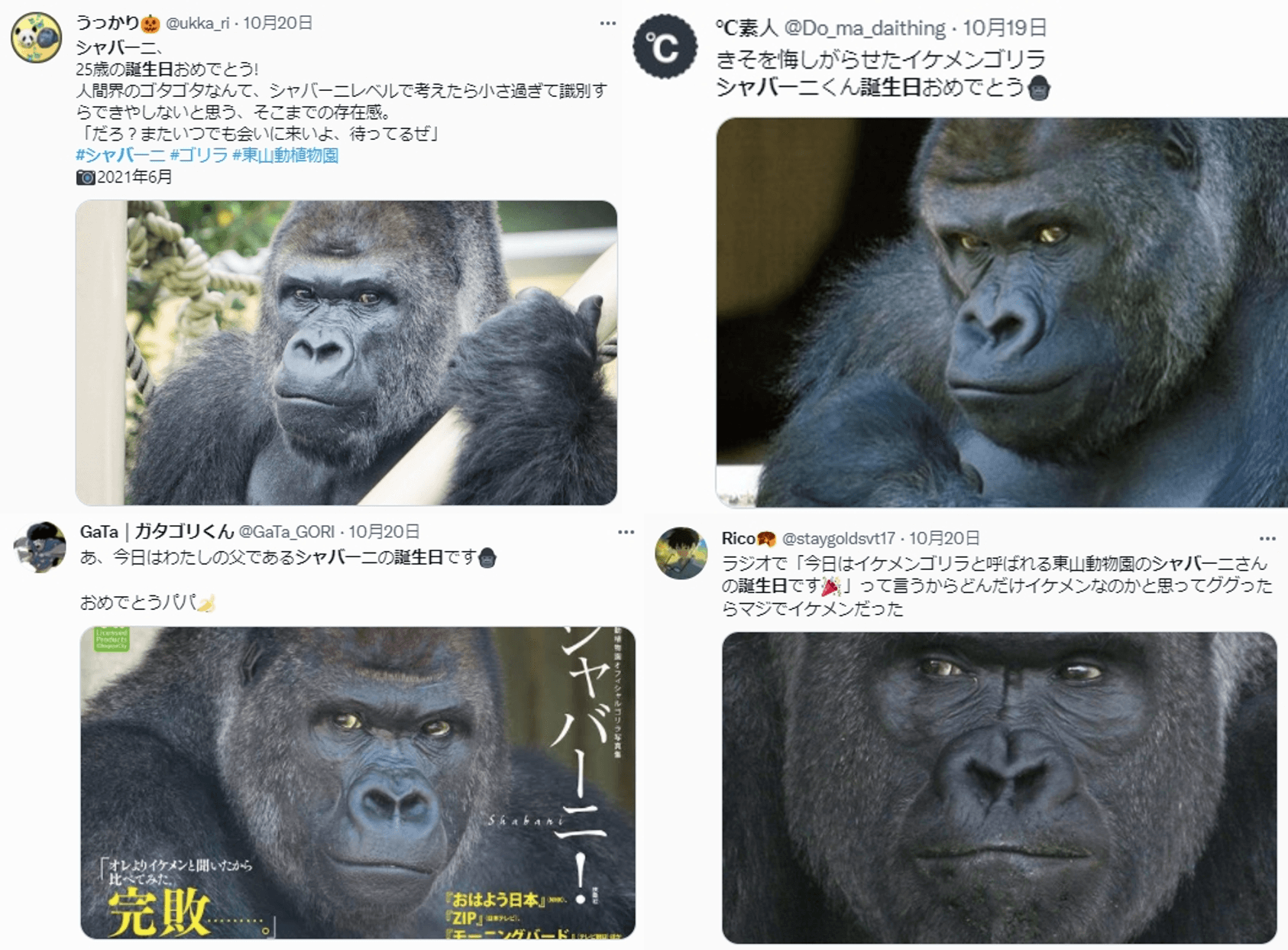 10月20日為夏巴尼的生日，推特上有許多粉絲發文慶賀，回顧夏巴尼過去的帥照。（圖片翻攝推特）