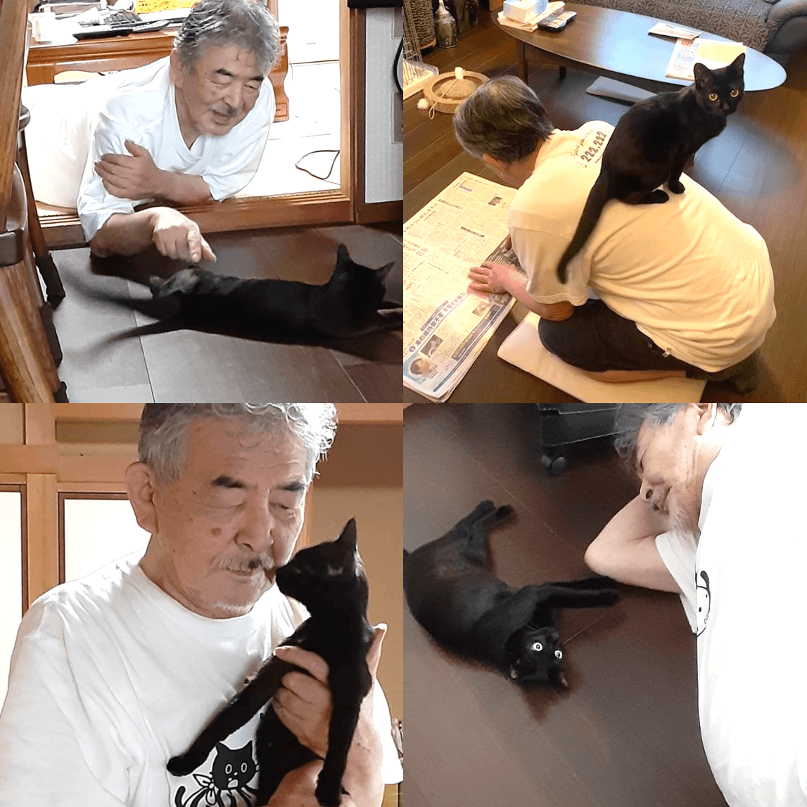 原PO經常在推特分享爸爸與黑貓RURU的可愛日常，笑稱通常是寵物會越來越像飼主，但爸爸卻是逐漸貓化。（圖片翻攝推特@ turi2018）