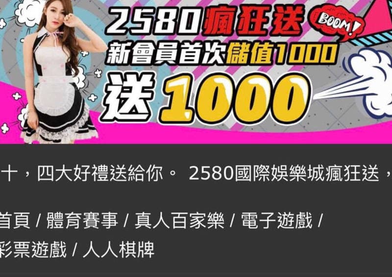 警方逮捕經營線上博奕網站的許姓主嫌及幹部等5人。（翻攝自網站）