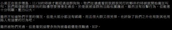 花蓮縣上月30日發生一起大規模泯滅人性毒狗事件，有網友表示看過該群狗。（翻攝自PTT）