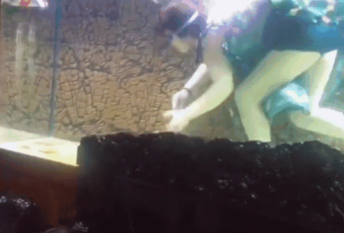 中國一位大媽在自家客廳魚缸裡潛水撈魚，影片引發討論。（翻攝自微博）