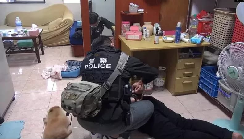台中市刑警破門逮捕毒品通緝犯時，對方養的松鼠博美也可愛的「趴下」不敢亂動。（翻攝畫面）