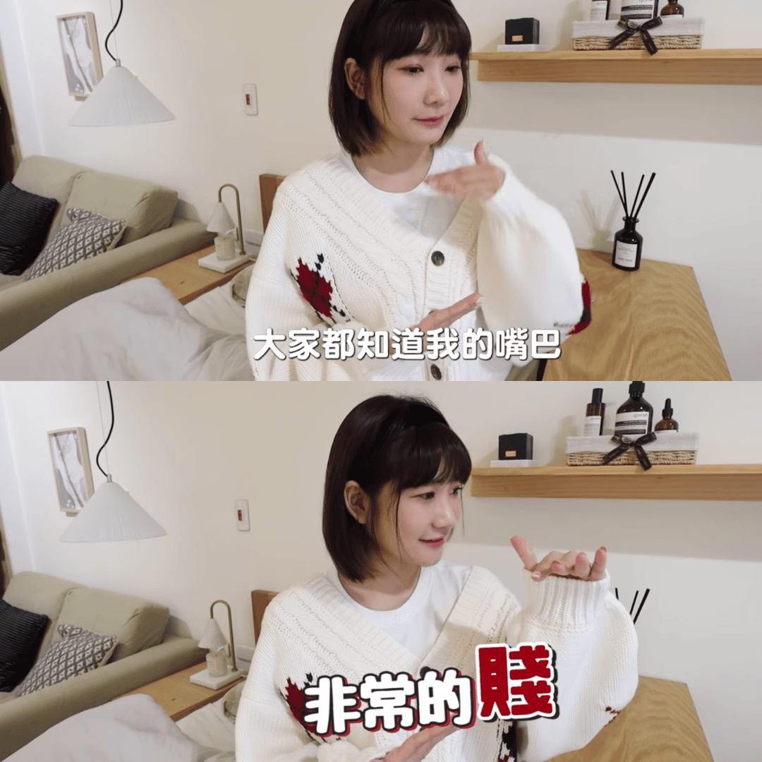 愛莉莎莎轉攻導購，她自嘲「嘴巴非常地賤」，因此組團購很有說服力。（翻攝自愛莉莎莎YT）