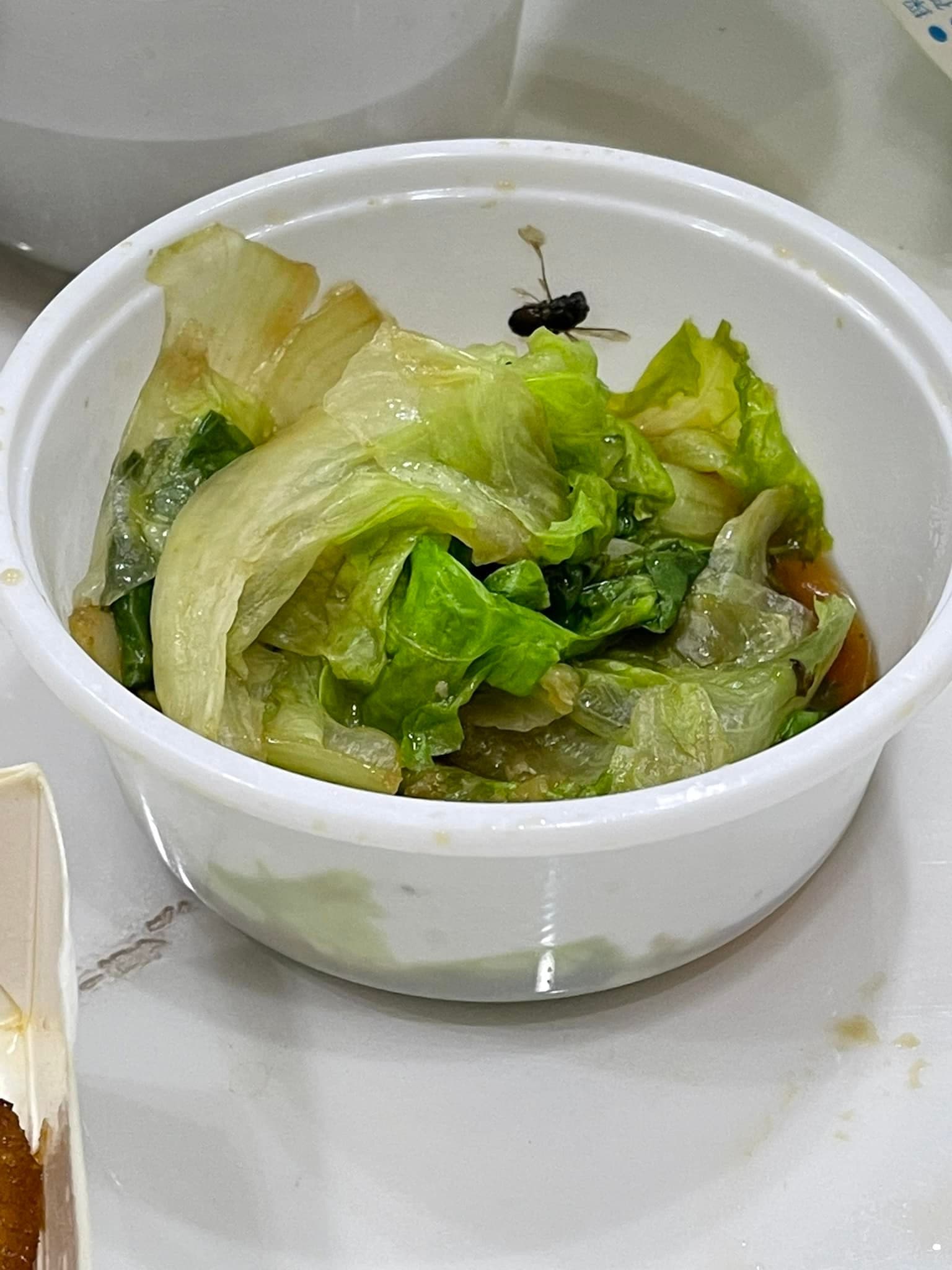 外送餐點大陸妹旁有一隻疑似蒼蠅的生物，害鳳梨一直反胃。（翻攝自吳泓逸臉書）