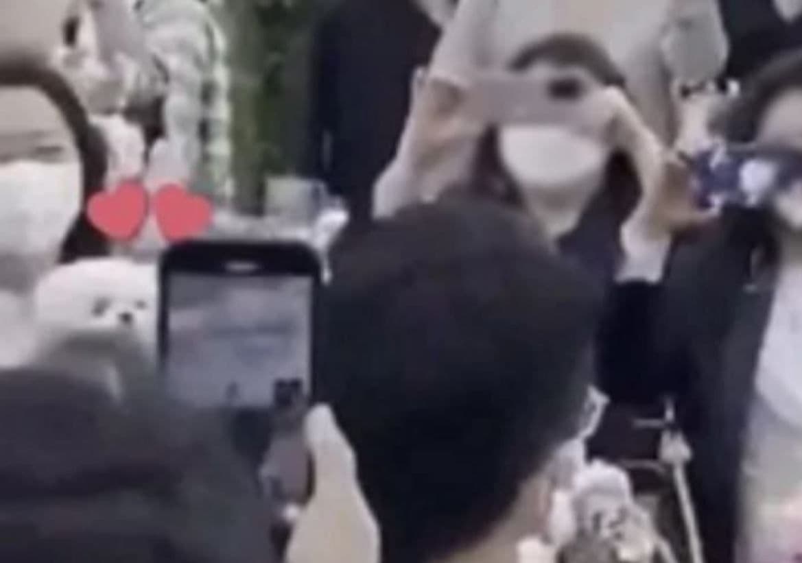 Kitty乖乖地待在孫藝真好姐妹孔曉振懷裡，眼睛追隨著孫藝真不放。（翻攝The insight網站）