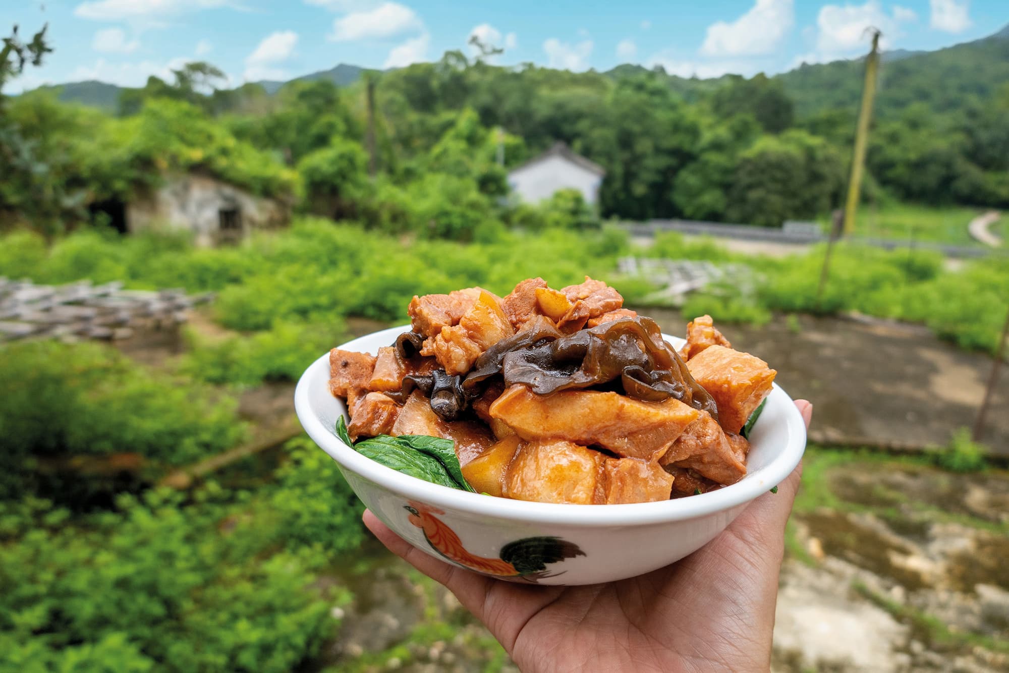 荔枝窩紅燒豬肉是經典傳統客家菜。（香港旅遊發展局提供）