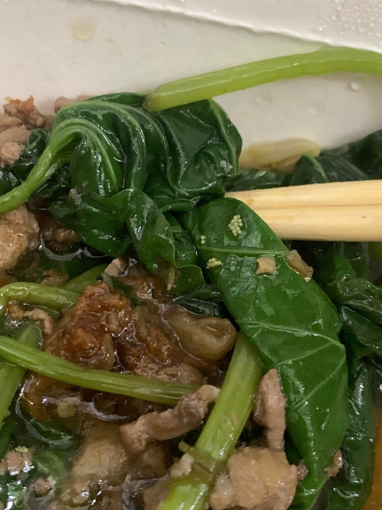 青菜黏著21顆蟲卵，讓網友崩潰直呼「我沒有要加蛋啊！老闆」。（翻攝自爆廢公社公開版臉書）