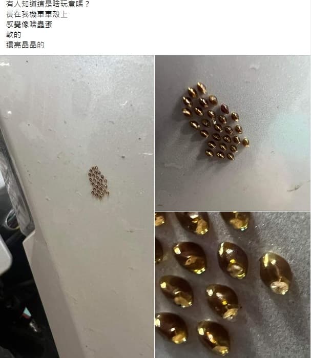 網友在機車車殼上發現神祕的「金色膠囊」，拍照PO網發問。（翻攝爆廢公社）