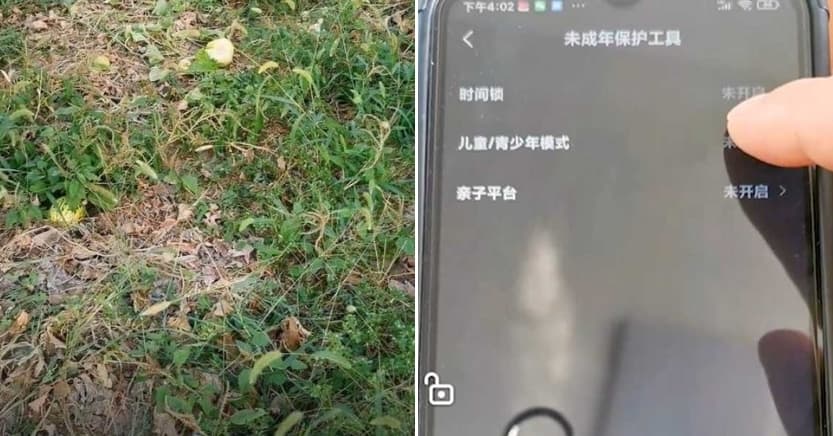 87歲老翁沉迷手機後，菜園都荒廢了，女兒於是偷偷將他的手機影片平台設為兒少模式，限制使用時間。（翻攝《九派新聞》）