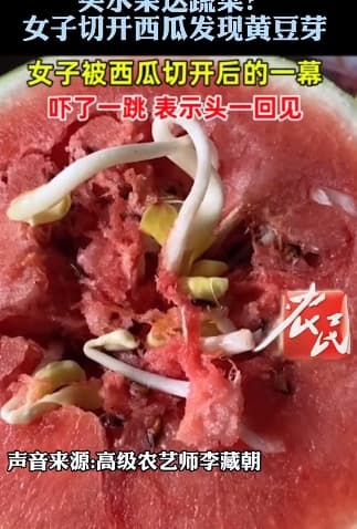 女子買了一顆西瓜，切開來裡面竟然長滿了大大小小的「豆芽菜」。（圖／翻攝自農民頻道微博）