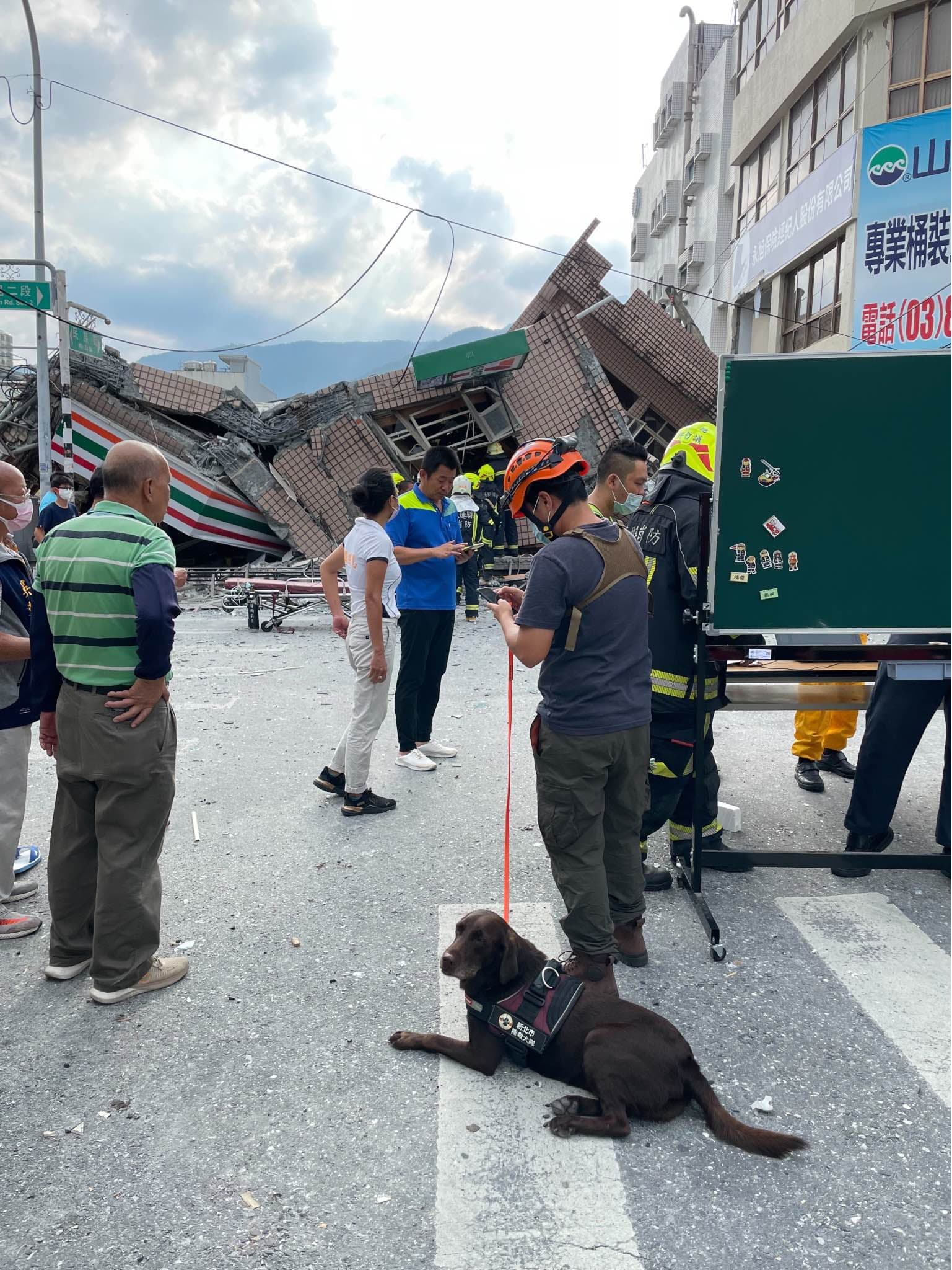新北市消防局特搜隊領犬員羅浩芳主動帶領搜救全投入救災。（翻攝自新北消防發爾麵粉專）