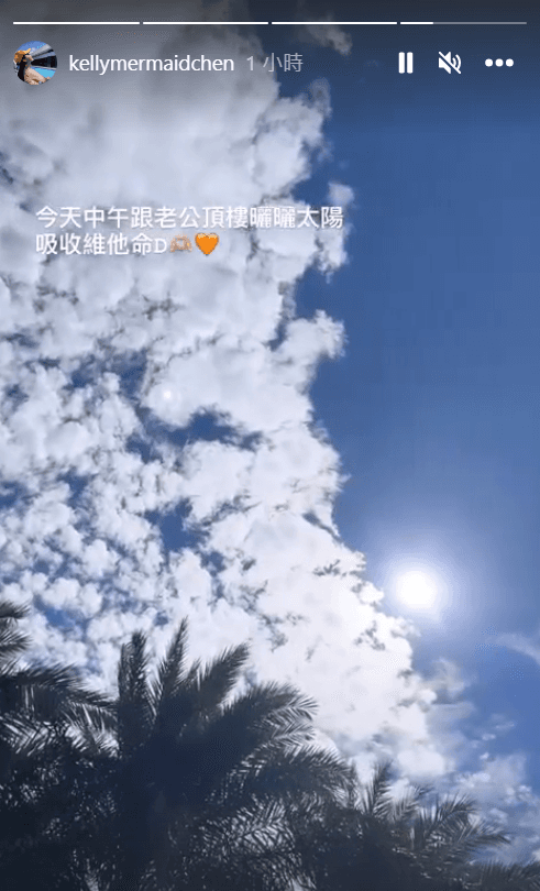 陳若儀也在IG限動發照片，透露和林志穎一同在頂樓曬太陽。（翻攝陳若儀IG）