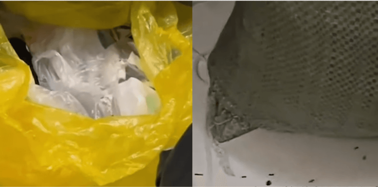 小博室友衛生習慣不佳，常將垃圾放到螞蟻亂爬。（翻攝抖音）