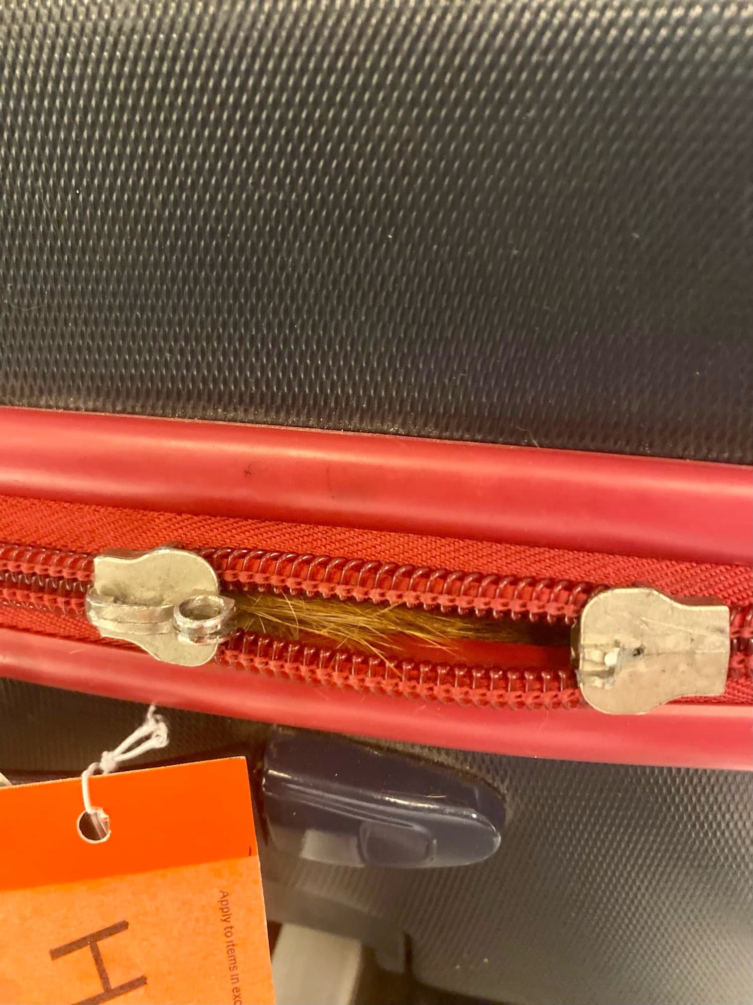 橘貓的毛從行李箱中冒出一角。（翻攝自TSA Twitter）
