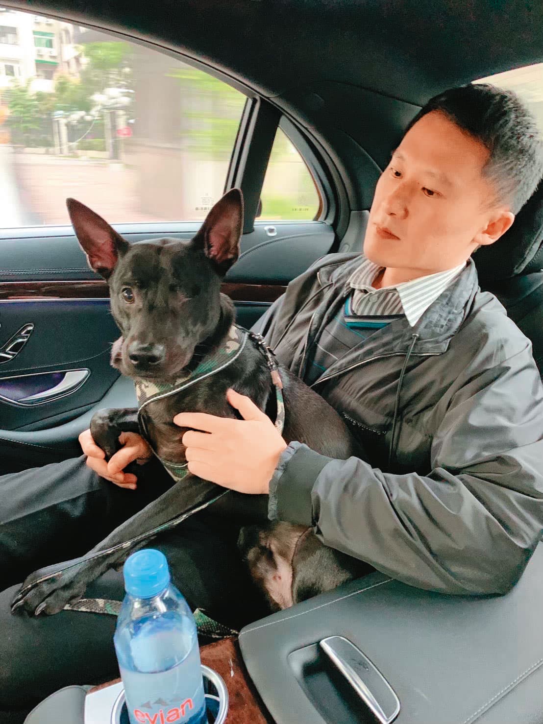 流浪狗黑寶被人打瞎一隻眼，謝銘杰請人救援治療後，在他細心照顧下已恢復帥氣。黑寶現在跟前妻米可白同住。（飛虹國際提供）