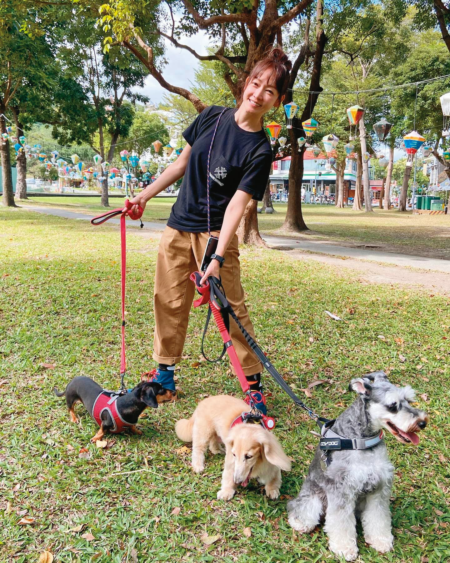 當收養的奶油長毛臘腸樂樂（中）還在時，潘慧如曾帶家裡的所有狗狗一起去旅行。（翻攝自潘慧如臉書）