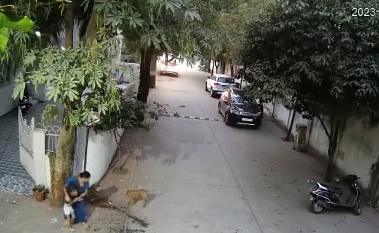 女童母親將女兒護衛在側，流浪犬仍兇猛朝她們吠叫。（翻攝推特@GujaratTak）