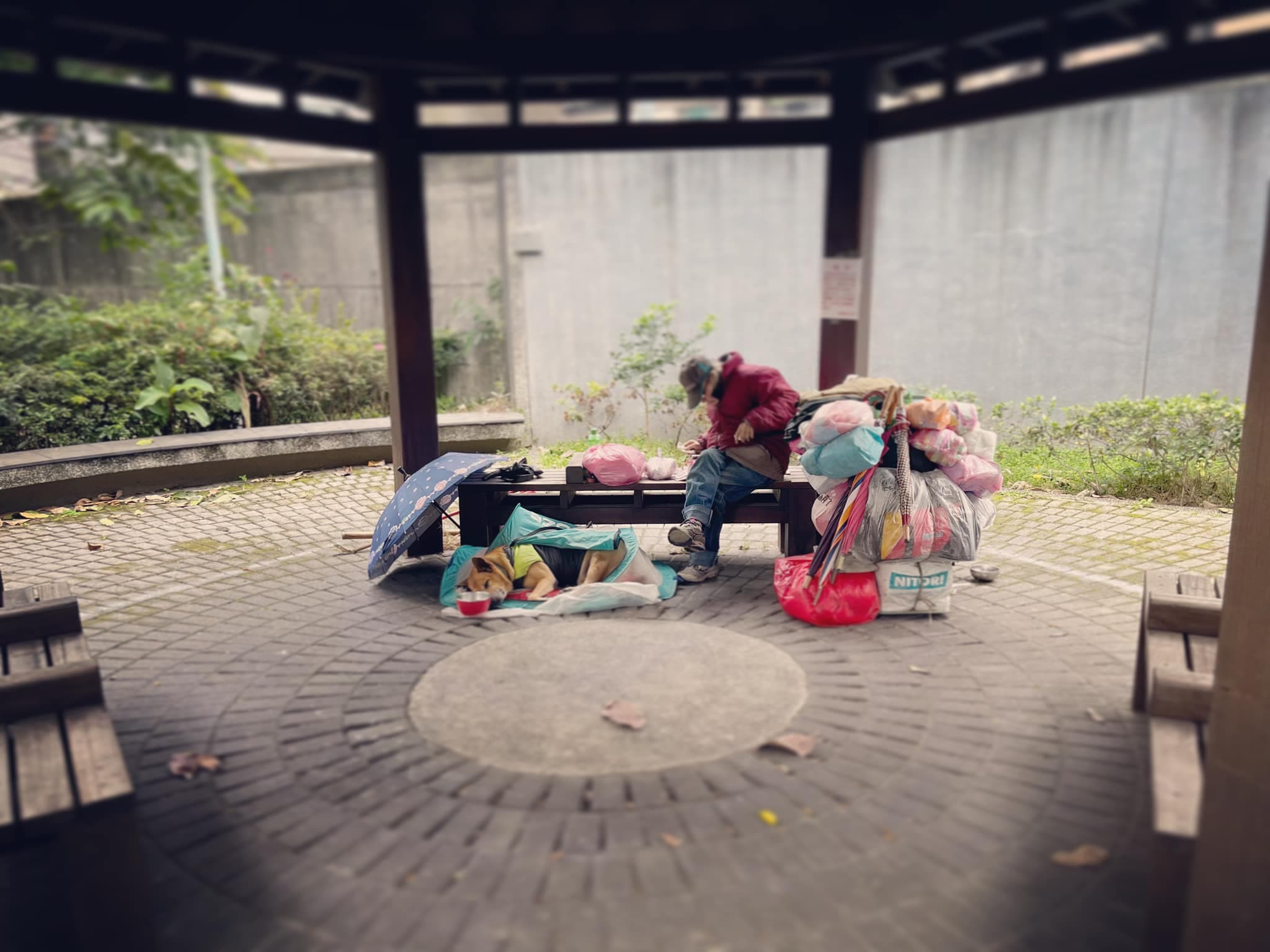 流浪漢大哥雖然因為各種原因露宿街頭，但是卻對飼養的狗狗十分照顧。（翻攝自路上觀察學院）