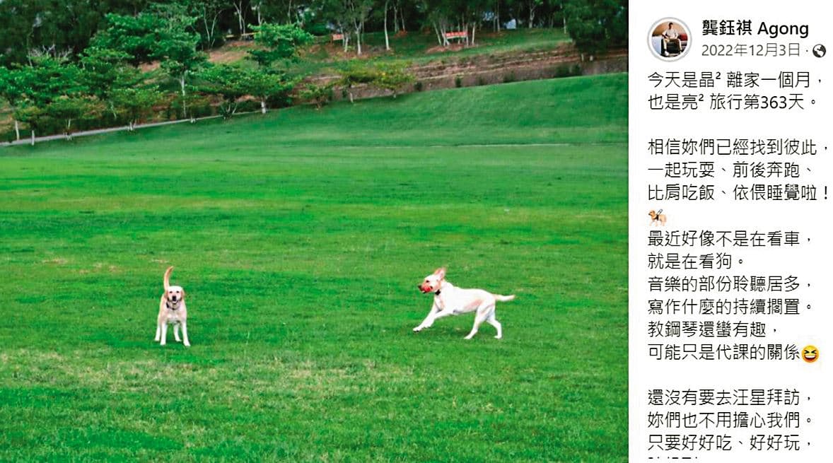 阿龔的愛犬晶晶去年11月過世，亮亮則於前年離開，阿龔經常曬照片懷念愛犬。（翻攝自阿龔臉書）