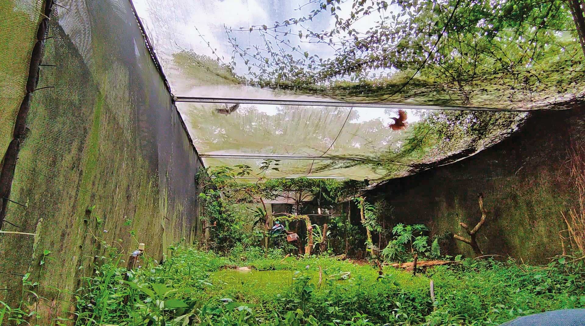 桃園G場收費制度完整，除了單次參觀，還有會員「拍到飽」制度，並有會員限定拍攝的鳥種。