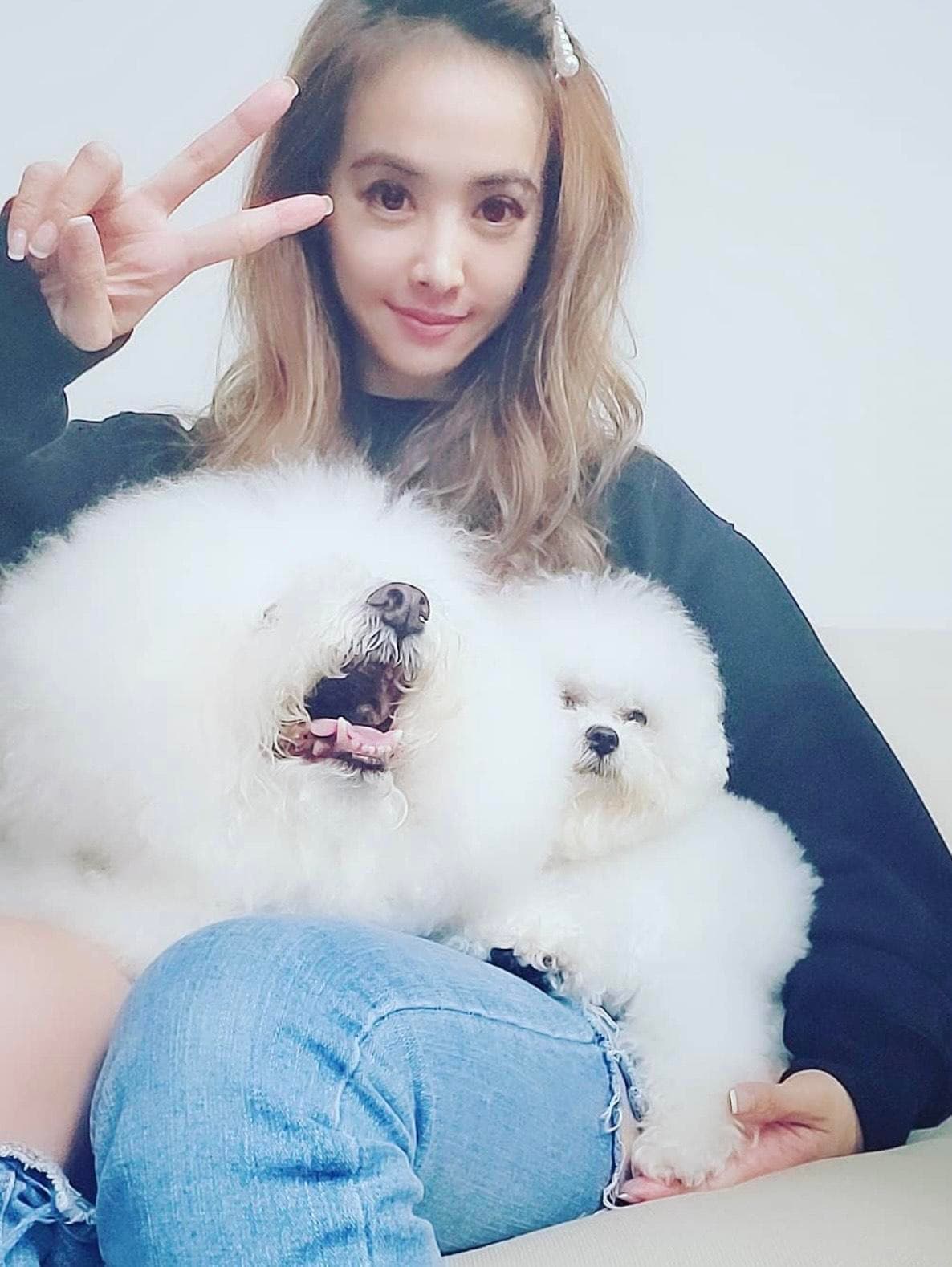蔡依林為愛犬屋虎甚至開發相關周邊。（翻攝自蔡依林臉書）