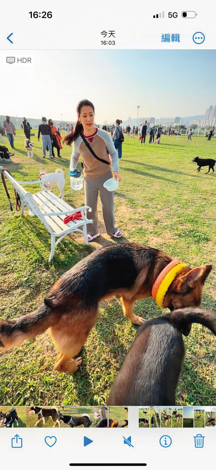 李蒨蓉趁狗狗喘口氣時趕忙餵水。（讀者提供）