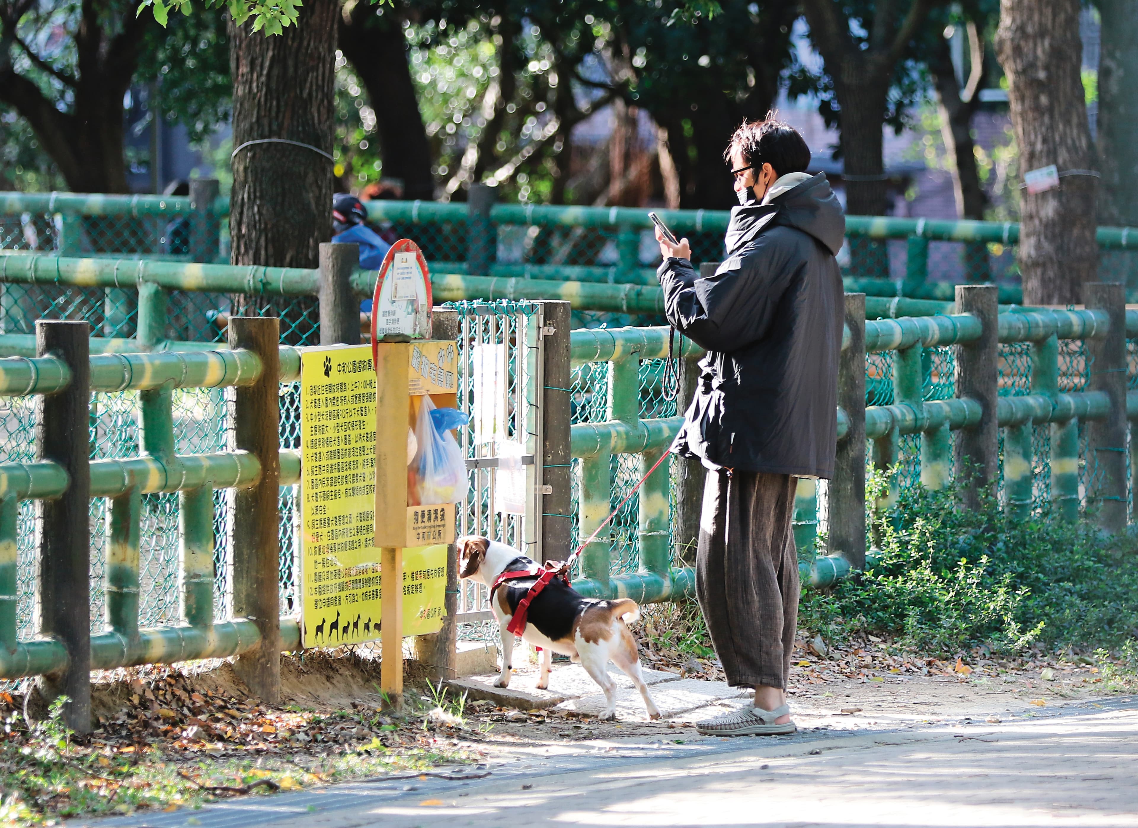 2/16 16：17 曹佑寧從王淨家出門，牽著「勘吉」前往運動公園放風，還幫忙捕捉可愛毛小孩畫面。
