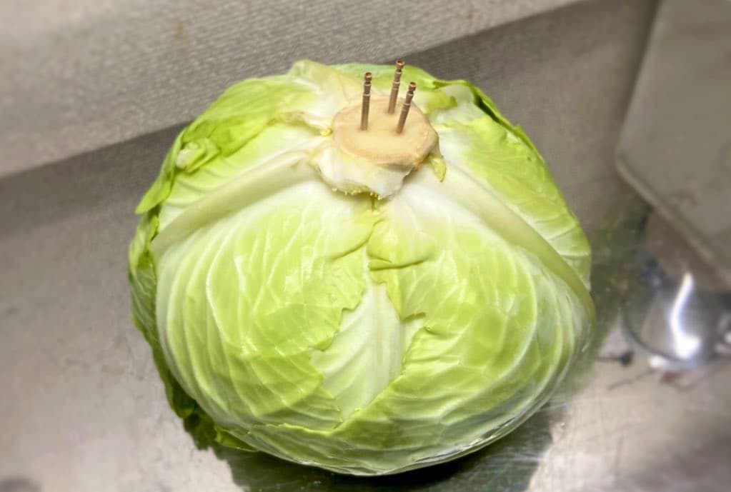 只要在高麗菜的芯上插入牙籤，可以延長保鮮。（翻攝推特 麦ライス(シェフ)）