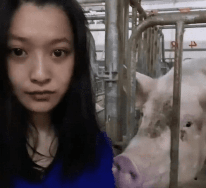 孫卓獸醫系畢業後，就來養豬場工作。（翻自《巴士的報》）