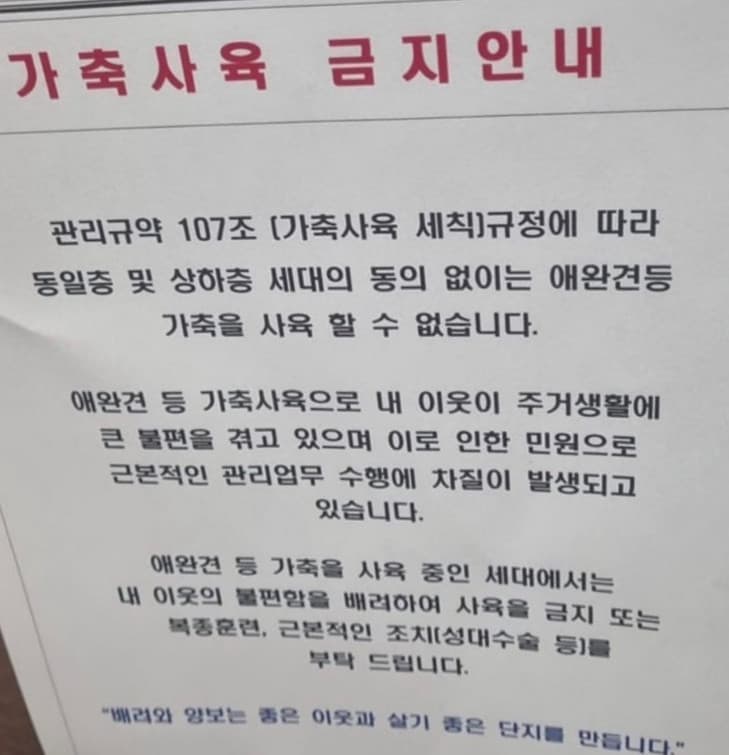 李己雨近期看到社區貼出公告要求飼主對寵物進行聲帶切除手術，在社群貼文發聲大表憤怒。（示意圖，翻攝IG@lee_kiwoo）