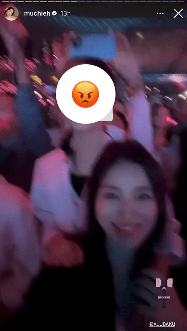 林牧潔與女兒開心看BLAKPINK演唱會。（翻攝林牧潔IG）