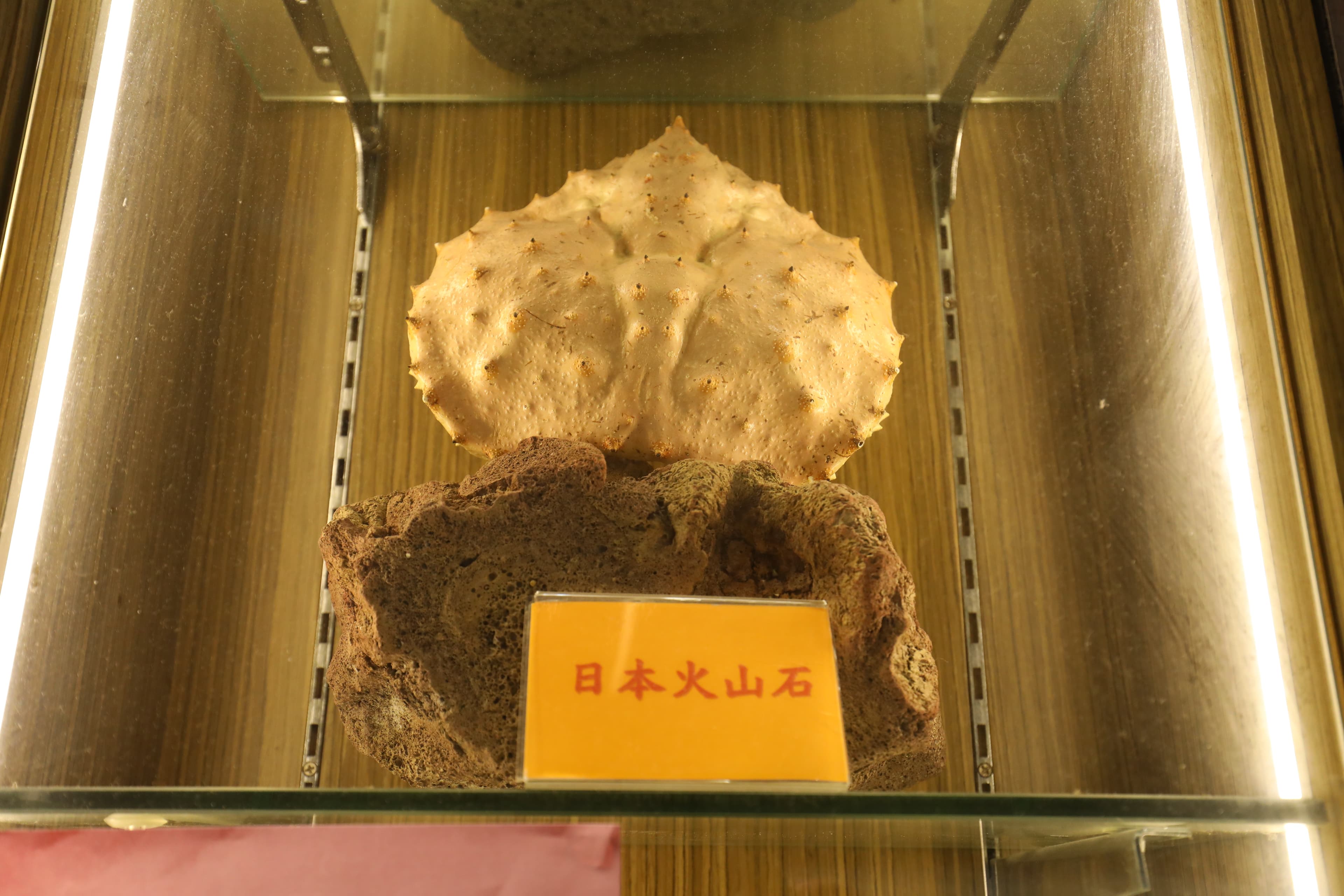 門口展示烹調煲仔飯用的火山石。