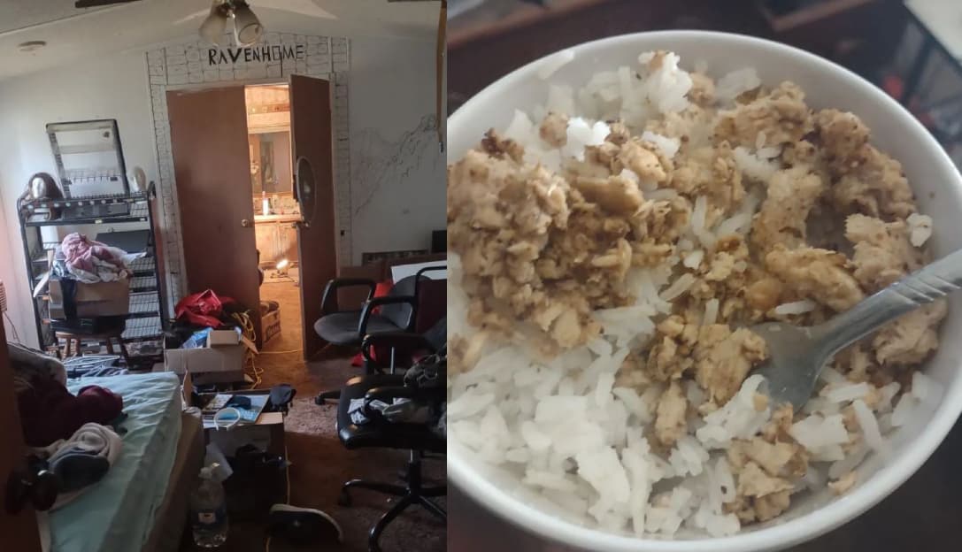 亞歷山大表示自己過得很慘，每天只吃一餐，還住在沒屋頂的破屋子裡面遭受各種天災之擾。（翻攝IG @ravenbunny8420）