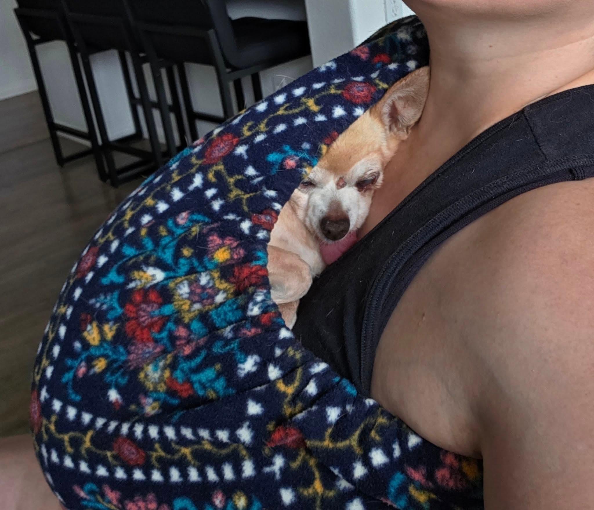 雖然有了「假人爸爸」，寵愛犬的格雷斯還是會在工作時將Dingo揹在懷裡，讓牠更有安全感。（翻攝自facebook@Janelle Grace ）