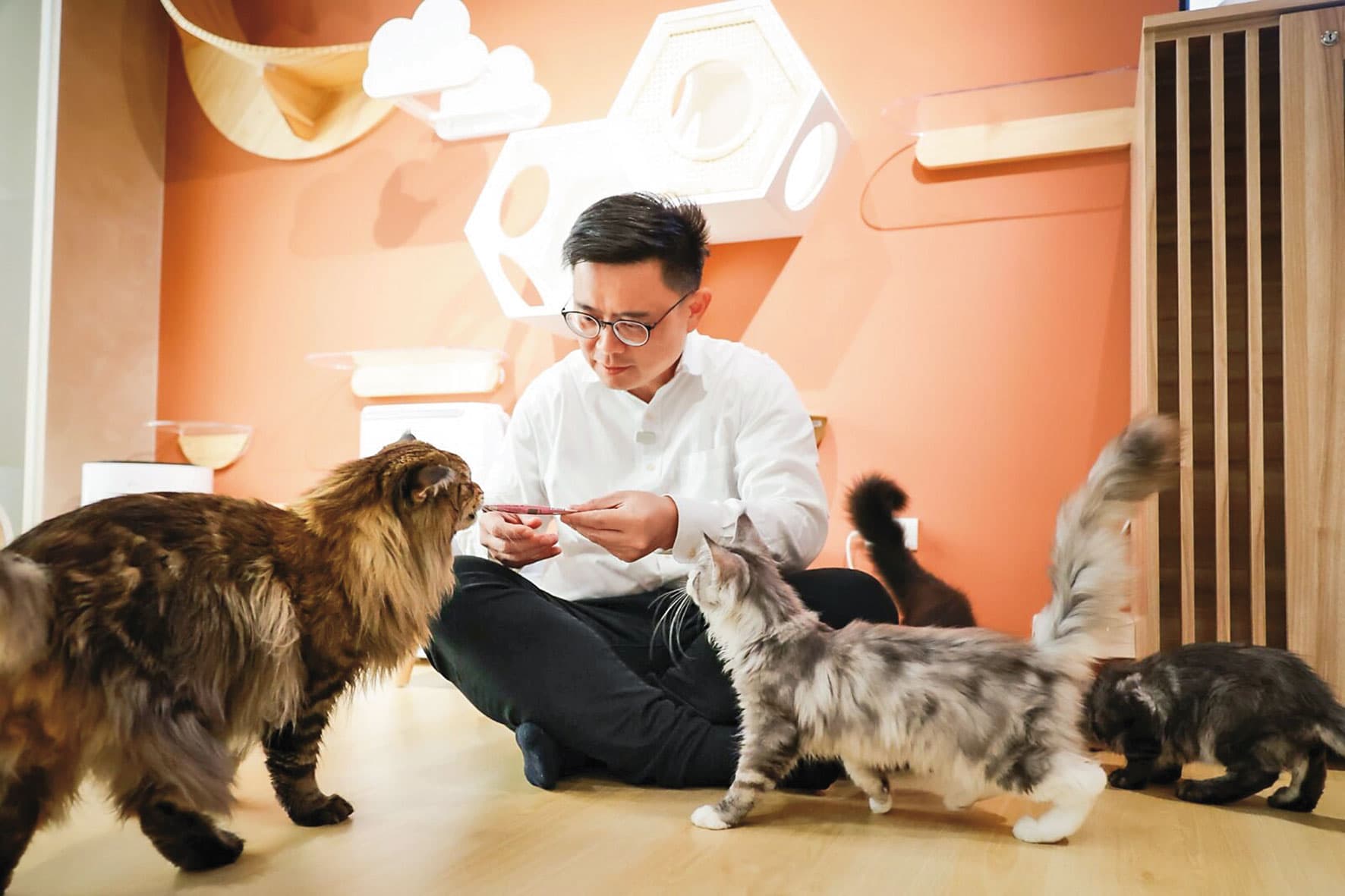 賴瑞隆家有3貓，去年初選期間他到寵物餐廳與貓咪互動並拋出毛孩政見。（賴瑞隆辦公室提供）